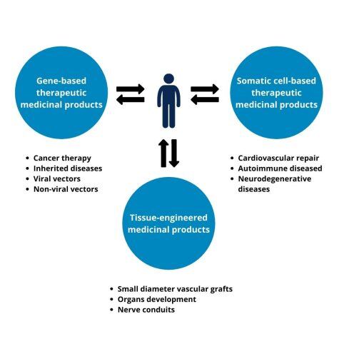 ATMPs - translating the expertise into a GMP process - QbD - DF