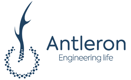 Antleron-e1641559352100