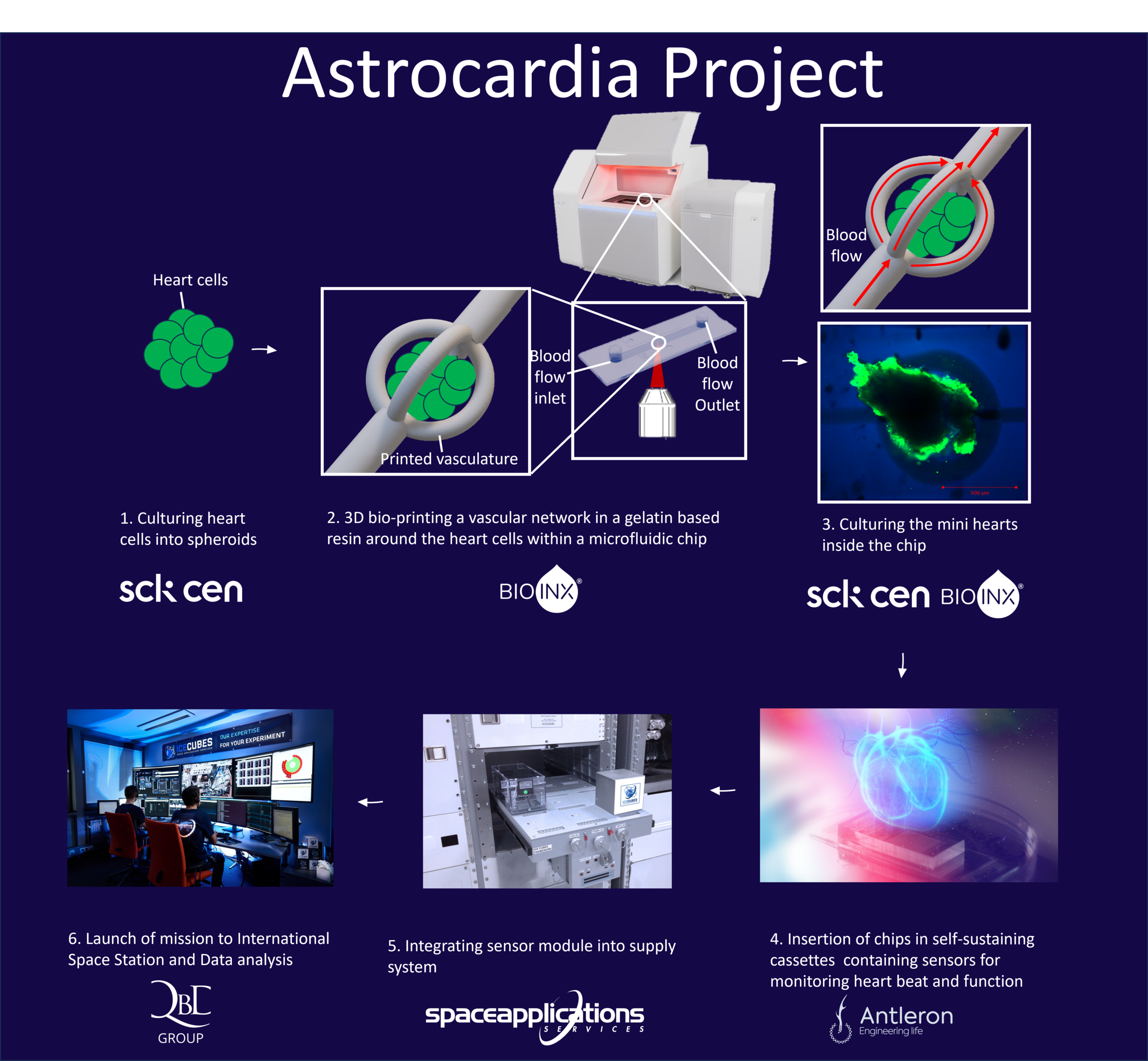 Los belgas lanzan un corazón en miniatura al espacio (4)