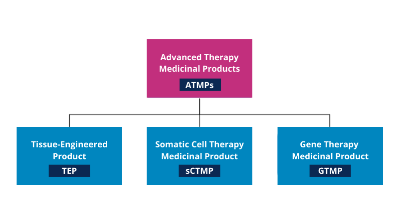 Schematic overview of branches within ATMP