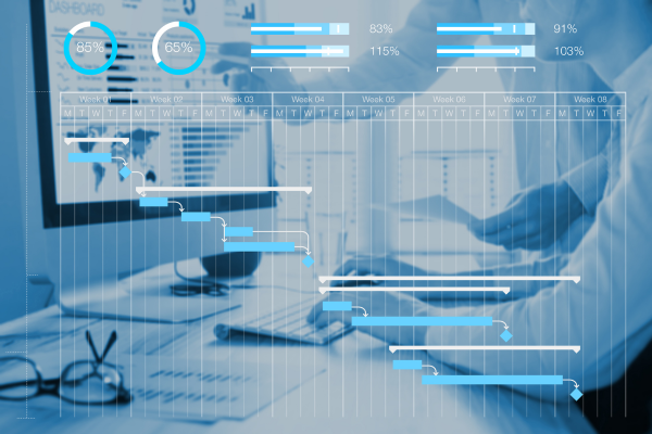 Project management timeline