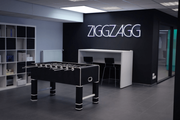 ZiggZagg case (7)