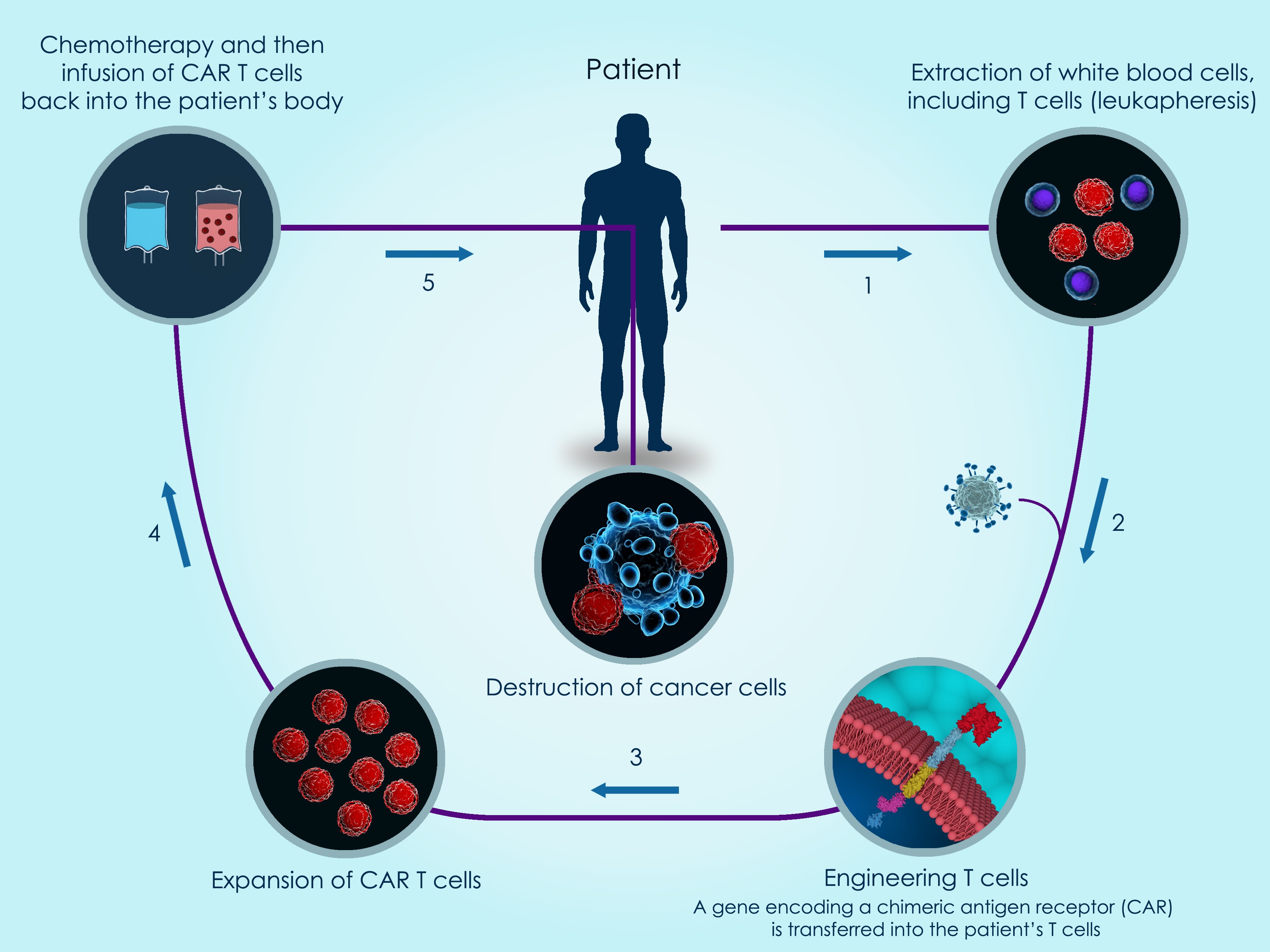 ATMP Gene Therapy